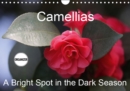 Camellias A Bright Spot in the Dark Season 2019 : Extraordinary flowers in winter - Book
