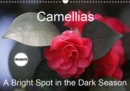 Camellias A Bright Spot in the Dark Season 2019 : Extraordinary flowers in winter - Book