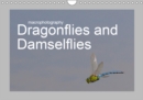 macrophotography Dragonflies and Damselflies 2019 : Macro photographs of dragonflies. - Book