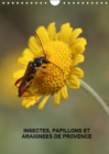Insectes, papillons et araignees de Provence 2019 : Les insectes, papillons et araignees de nos belles prairies - Book
