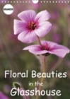 Floral Beauties in the Glasshouse 2019 : Portraits of delicate flowers - Book