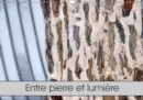 Entre pierre et lumiere 2019 : Les vitraux de l'abbatiale de Conques - Book
