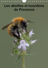 Les abeilles et bourdons de Provence 2019 : Nos amis les abeilles et les bourdons solitaires et sauvages - Book