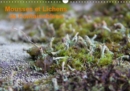 Mousses et lichens de Fontainebleau 2019 : 12 photos des mousses et lichens communs - Book