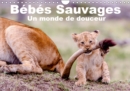 Bebes sauvages - Un monde de douceur 2019 : Bebes mamiferes dans leur environnement naturel - Book