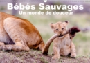 Bebes sauvages - Un monde de douceur 2019 : Bebes mamiferes dans leur environnement naturel - Book