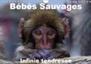 Bebes sauvages - Infinie tendresse 2019 : Bebes mamiferes dans leur environnement naturel - Book