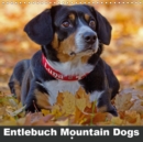 Entlebuch Mountain Dogs 2019 : The Entlebuch Mountain Dogs Emma and Luna - Book