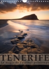 Tenerife la magie de l'eternel printemps 2019 : La magie de l'eternel printemps - Book