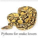 Pythons for snake lovers 2019 : various python morphs - Book