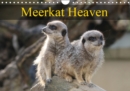 Meerkat Heaven 2019 : Meerkats basking in the morning sunshine - Book