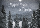 Magical Winter in Bavaria 2019 : Fairytale-like landscapes in flurry of snow - Book