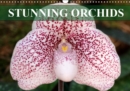 Stunning Orchids 2019 : A small selection from the immense variety of orchids - Book