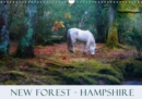 New Forest Hampshire 2019 : The New Forest in Hampshire with its heath and wild ponies is one of the most beautiful areas in England - Book