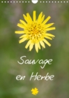 Sauvage en herbe 2019 : Sauvage en herbe pour une annee coloree et douce - Book