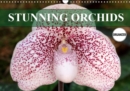 Stunning Orchids 2019 : A small selection from the immense variety of orchids - Book