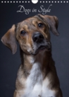 Dogs in Style 2019 : Portraits of beautiful dogs - Book