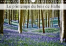 Le printemps du bois de Halle 2019 : Hallerbos, la foret feerique - Book