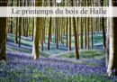 Le printemps du bois de Halle 2019 : Hallerbos, la foret feerique - Book