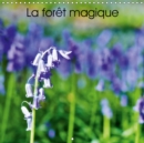 La foret magique 2019 : Hallerbos, la foret feerique - Book