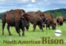 North American Bison 2019 : The Bison or Indian buffalo is the largest mammal on the North American continent. Through the protection of Yellowstone National Park today large herds are prowling again - Book