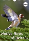 Native Birds of Britain 2019 : Impressive images showing the beauty and diversity of native birds in our gardens, a delight for any bird lover. - Book