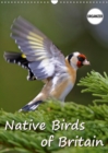 Native Birds of Britain 2019 : Impressive images showing the beauty and diversity of native birds in our gardens, a delight for any bird lover. - Book