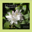 Flowers from bright yellow to fiery red 2019 : Flowers growing on trees, shrubs and co. - Book