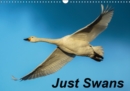 Just Swans 2019 : Beautiful swans from all parts of the world - Book