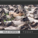 Wild horses today 2019 : With beautiful wild horses through the year - Book