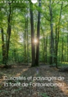 Curiosites et paysages de la foret de Fontainebleau 2019 : Partez a la decouverte de la foret de Fontainebleau - Book