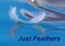 Just Feathers 2019 : Magically coloured feathers from around the world - Book