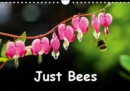 Just Bees 2019 : Our magical pollinators, busy bees - Book