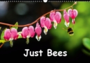 Just Bees 2019 : Our magical pollinators, busy bees - Book