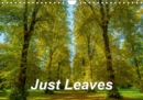Just Leaves 2019 : Kaleidoscope of leaf colours - Book