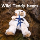 Wild Teddy bears 2019 : Some fun with the Teddy bears. Monthly calender - Book