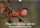 Popular garden birds of the united kingdom 2019 : Common birds found in your garden - Book