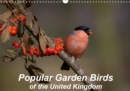 Popular garden birds of the united kingdom 2019 : Common birds found in your garden - Book