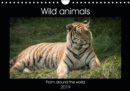 Wild animals from around the world 2019 : A selection of wild animal images - Book