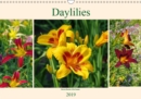 Daylilies - Delicate Beauties of the Summer 2019 : Some of the finest varieties of Hemerocallis - Book