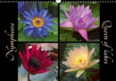 Nymphaea - Queen of lakes 2019 : Colourful blossoms of  waterlilies. - Book