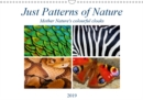 Just Patterns of Nature 2019 : Cloaks of Colour - Book