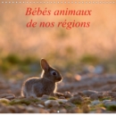 Bebes animaux de nos regions 2019 : L'insouciance des bebes animaux photographies sur le vif. - Book