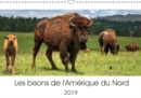 Les bisons de l'Amerique du Nord 2019 : Le bison est le plus grand mammifere sur le continent nord americain - Book