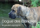 Dogue des Canaries le gardien espagnol 2019 : Chien de race espagnole, originaire de l'archipel des Canaries - Book