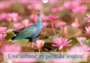 Une sultane au pays du sourire 2019 : La taleve sultane est un oiseau qui vit surtout dans les roselieres. En Thailande on la rencontre, a certaines periodes, dans les grands champs de nenuphars roses - Book