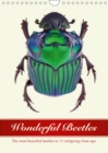 Wonderful Beetles 2019 : The most beautiful beetles in twelve intriguing close-ups. - Book