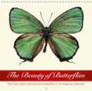The Beauty of Butterflies 2019 : The most exotic and colourful butterflies in twelve intriguing close-ups. - Book
