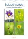 Balade florale en foret de Fontainebleau 2019 : Decouvrez une jolie fleur sauvage de la foret de Fontainebleau chaque mois. - Book
