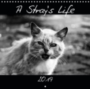 A Stray's Life 2019 : Outtakes of a photo story about a clowder of feral cats. - Book